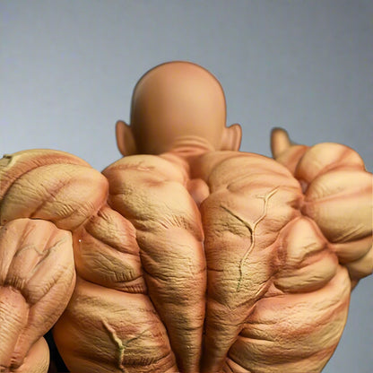 Master Roshi actiefiguur